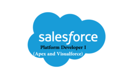 Salesforce Platform Developer I (Apex and Visualforce)